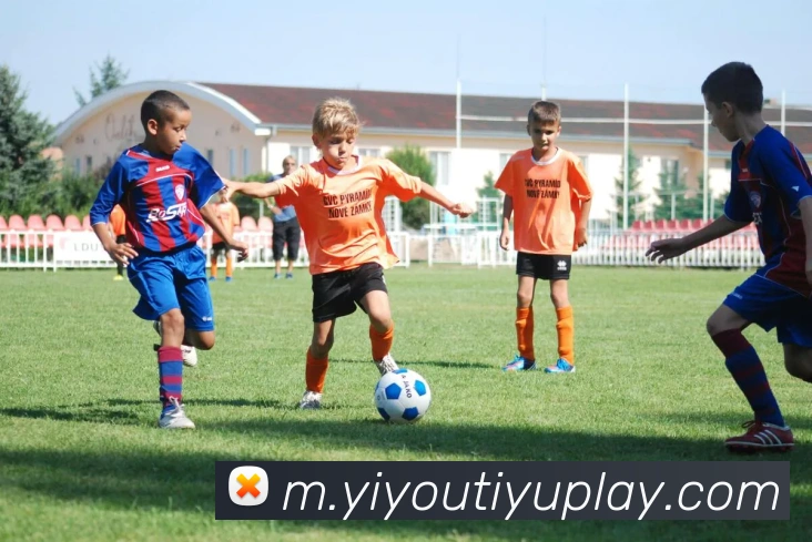 多媒体互动体验